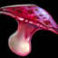 Bonbon Mushroom
