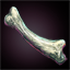 Mutated Animal Bone