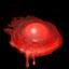 Wild Animal Blood