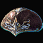 Scout's Leather Hat