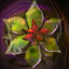 Source Seed