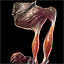 Ronin's Achilles Tendon