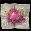 Magic Powder