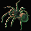 Roast Spider Meat